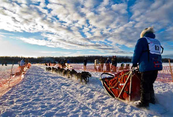 On the trail to Nome